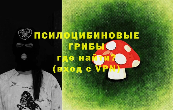 соль ск Касимов