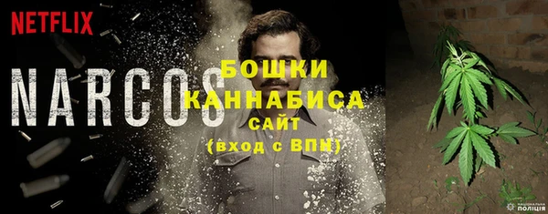 соль ск Касимов